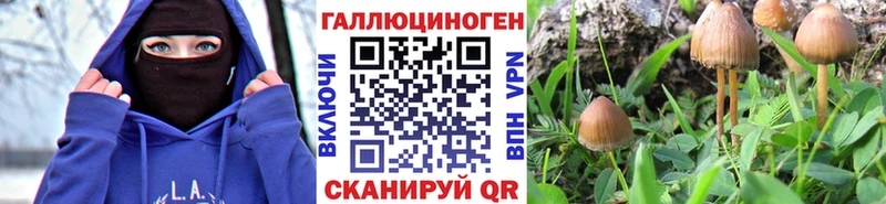 дарк нет официальный сайт  Бирск  Псилоцибиновые грибы ЛСД  ссылка на мегу сайт 
